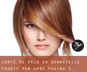 Corte de pelo en Bonneville County por urbe - página 1