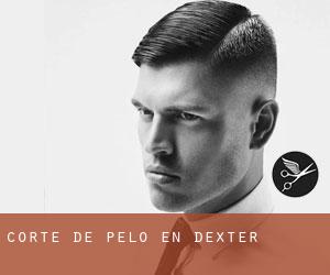 Corte de pelo en Dexter