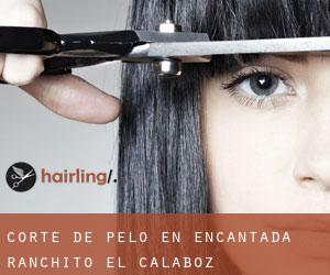 Corte de pelo en Encantada-Ranchito-El Calaboz