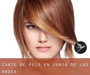 Corte de pelo en Junín de los Andes Corte de pelo en Junín de los Andes