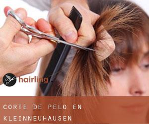 Corte de pelo en Kleinneuhausen