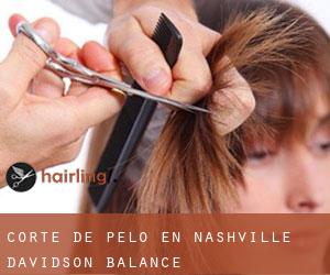 Corte de pelo en Nashville-Davidson (balance)