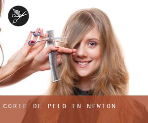 Corte de pelo en Newton