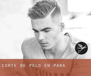 Corte de pelo en Pará Corte de pelo en Pará