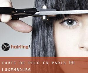 Corte de pelo en Paris 06 Luxembourg