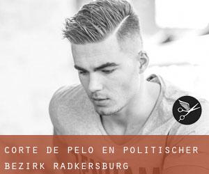 Corte de pelo en Politischer Bezirk Radkersburg