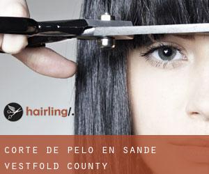 Corte de pelo en Sande (Vestfold county)