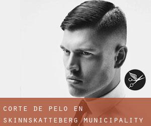 Corte de pelo en Skinnskatteberg Municipality