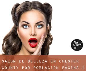 Salón de belleza en Chester County por población - página 1