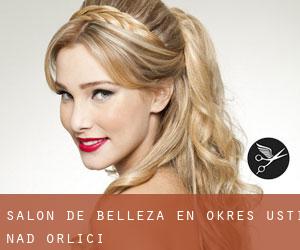 Salón de belleza en Okres Ústí nad Orlicí