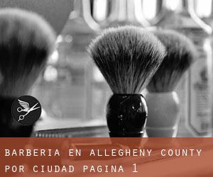 Barbería en Allegheny County por ciudad - página 1