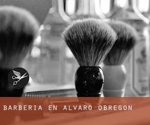 Barbería en Alvaro Obregon