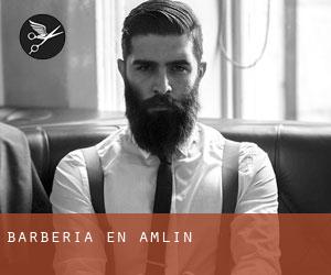 Barbería en Amlin