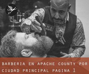 Barbería en Apache County por ciudad principal - página 1