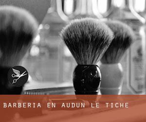 Barbería en Audun-le-Tiche