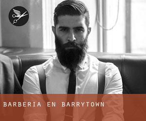 Barbería en Barrytown