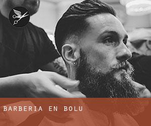 Barbería en Bolu