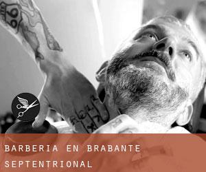 Barbería en Brabante Septentrional Barbería en Brabante Septentrional
