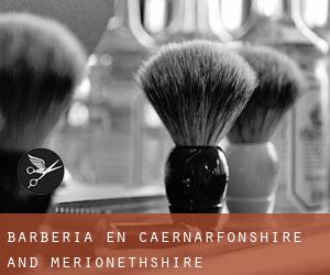 Barbería en Caernarfonshire and Merionethshire