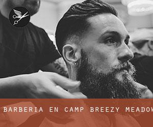 Barbería en Camp Breezy Meadow