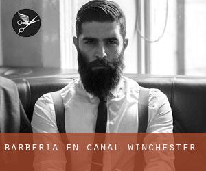 Barbería en Canal Winchester Barbería en Canal Winchester