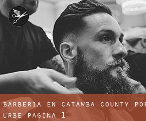 Barbería en Catawba County por urbe - página 1