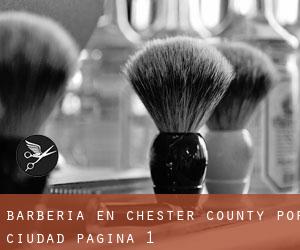 Barbería en Chester County por ciudad - página 1