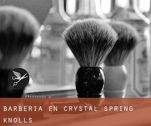 Barbería en Crystal Spring Knolls