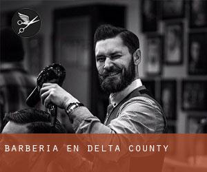 Barbería en Delta County