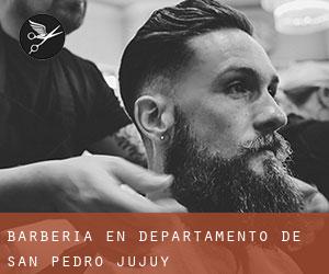 Barbería en Departamento de San Pedro (Jujuy)