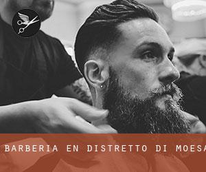 Barbería en Distretto di Moesa