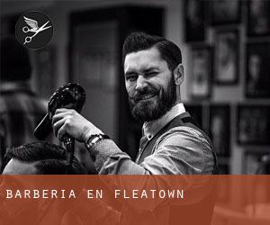 Barbería en Fleatown