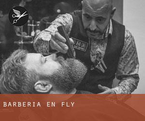 Barbería en Fly