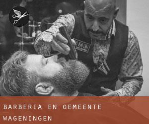 Barbería en Gemeente Wageningen