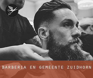 Barbería en Gemeente Zuidhorn