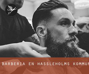 Barbería en Hässleholms Kommun