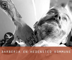 Barbería en Hedensted Kommune Barbería en Hedensted Kommune