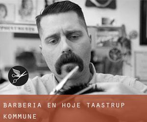 Barbería en Høje-Taastrup Kommune Barbería en Høje-Taastrup Kommune