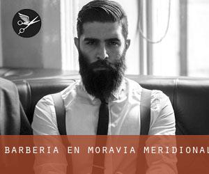 Barbería en Moravia Meridional Barbería en Moravia Meridional