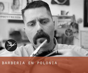 Barbería en Polonia Barbería en Polonia