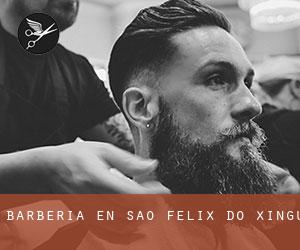 Barbería en São Félix do Xingu