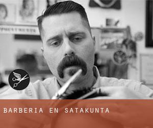 Barbería en Satakunta Barbería en Satakunta