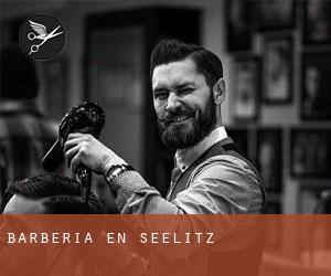 Barbería en Seelitz