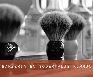 Barbería en Södertälje Kommun