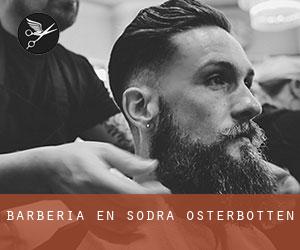 Barbería en Södra Österbotten
