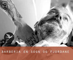 Barbería en Sogn og Fjordane Barbería en Sogn og Fjordane
