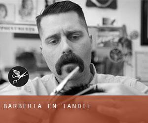 Barbería en Tandil Barbería en Tandil