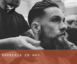 Barbería en Why Barbería en Why