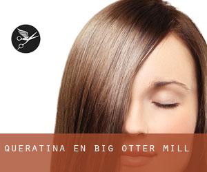 Queratina en Big Otter Mill