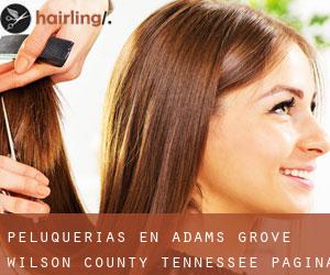 peluquerías en Adams Grove (Wilson County, Tennessee) - página 2